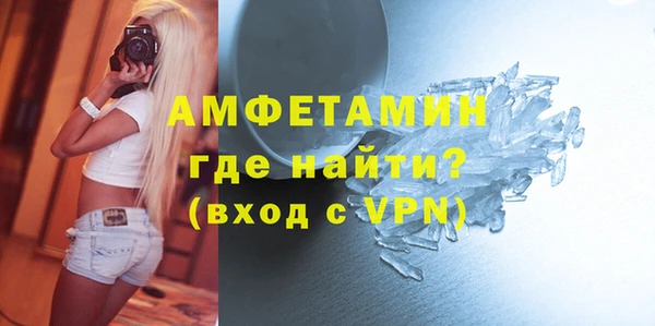 прущие грибы Надым