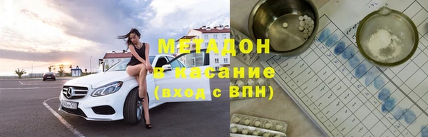 прущие грибы Надым