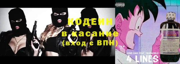 прущие грибы Надым