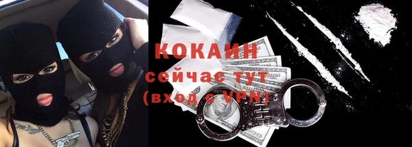 прущие грибы Надым