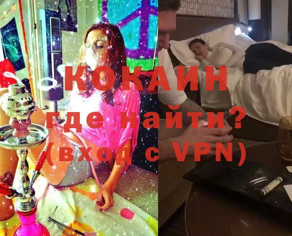 прущие грибы Надым