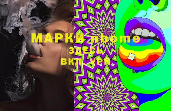 прущие грибы Надым