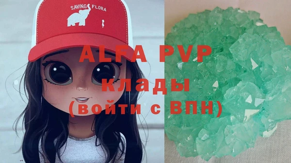 прущие грибы Надым