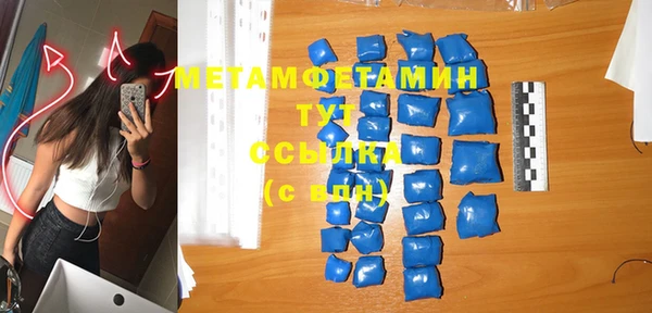 прущие грибы Надым