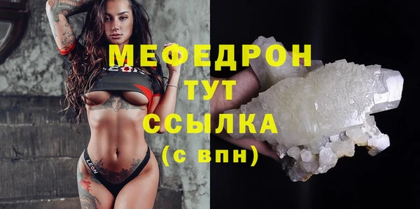 прущие грибы Надым