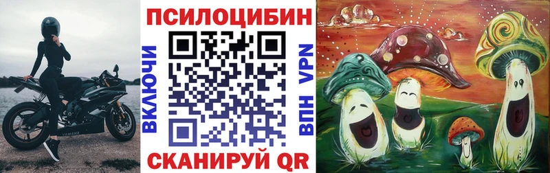 Галлюциногенные грибы Psilocybe  где купить наркотик  Сарапул 